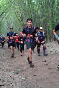 BIB: 2329, 2239
                            <button type="button" onclick="openModal(4129708)" class="btn btn-primary btn-sm float-right btn-popup" data-toggle="modal" data-target=".modal-high-quality">
                        <i class="fas fa-shopping-cart"></i> Add to Cart
                    </button>
                                            <button type="button" onclick="isThisMe(4129708, true)" class="btn btn-success btn-sm float-right btn-popup btn-isme hidden" data-toggle="tooltip" data-placement="bottom" title="นี่คือรูปของคุณใช่ไหม คลิกที่นี่เพื่อเอาเข้าอัลบั้ม">
                        <i class="fas fa-plus"></i> Add to album
                    </button>
                    <button type="button" onclick="isThisMe(4129708, false)" class="btn btn-warning btn-sm float-right btn-popup btn-isnotme hidden">
                        <i class="fas fa-ban"></i> Remove from album
                    </button>